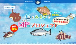 海とみらいの図鑑プロジェクト