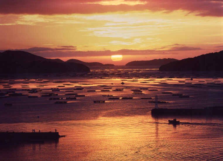 虫明追門の曙～岡山の海スポット～