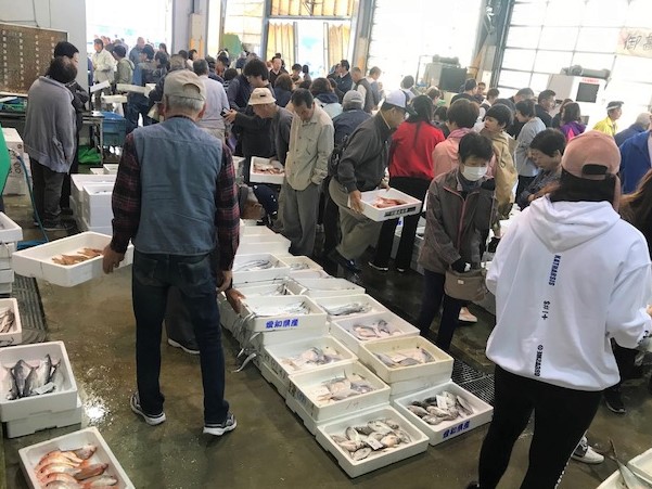 魚市場に聞く 伊里漁業協同組合 海と日本project In 岡山