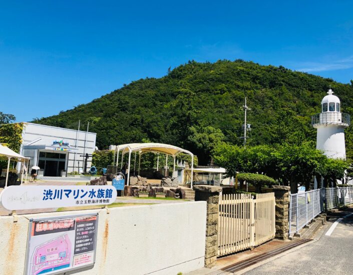 ウミガメとふれあおう！岡山県下唯一の水族館♪