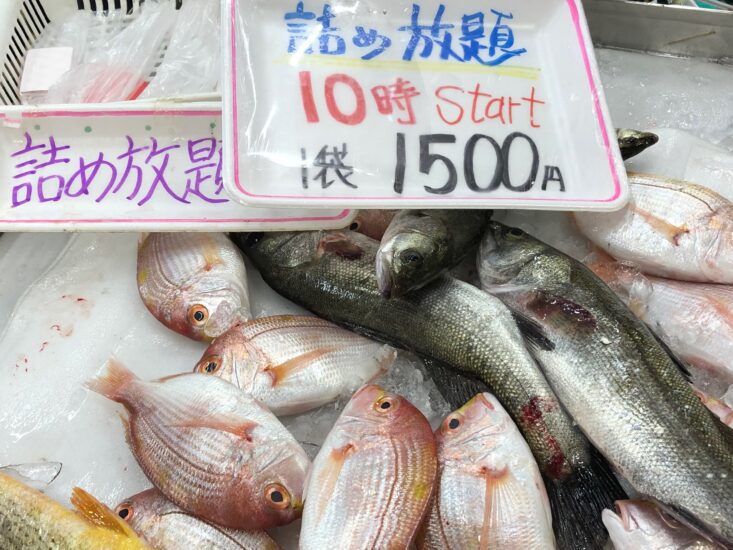 笠岡の道の駅で、魚詰め放題に挑戦！