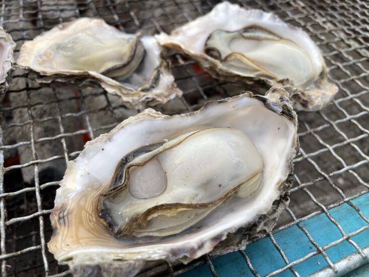 プチキャンプ気分が味わえる前島の牡蠣小屋へ