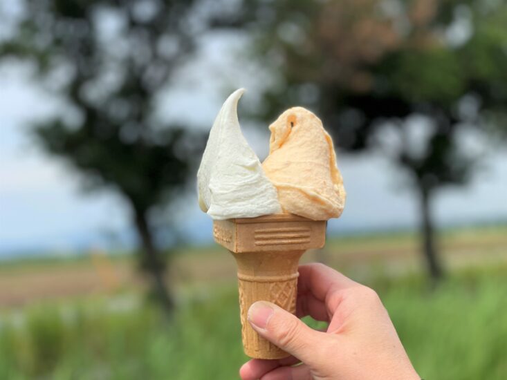 干拓地で育まれた愛情たっぷりのジェラート店