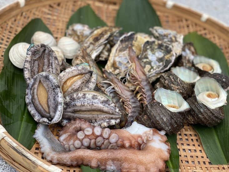 漁師直営のカキ小屋で味わう、ぷりぷりのカキや海鮮焼き