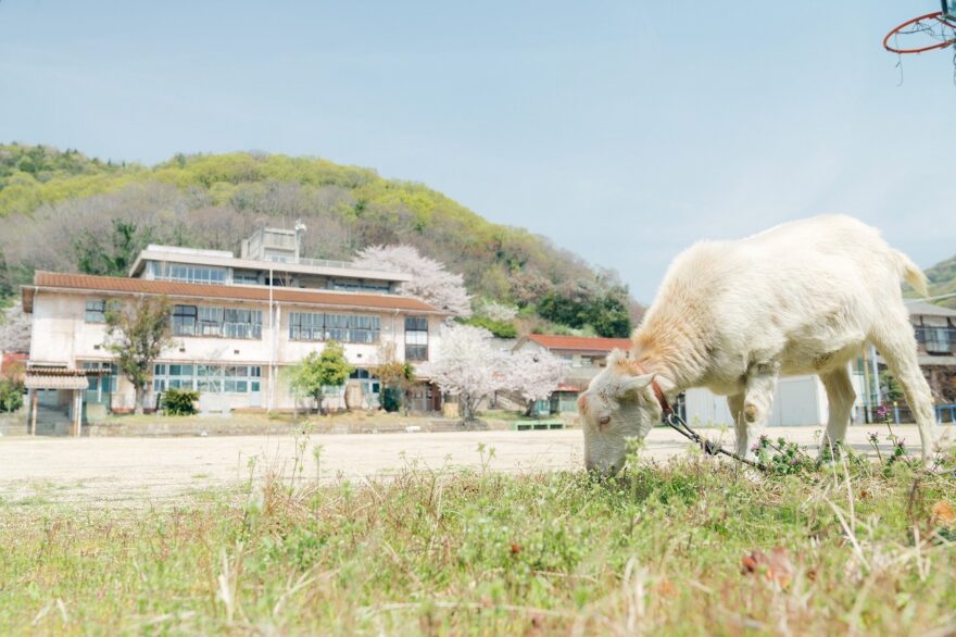 約150年の歴史ある廃校をシェアアトリエに